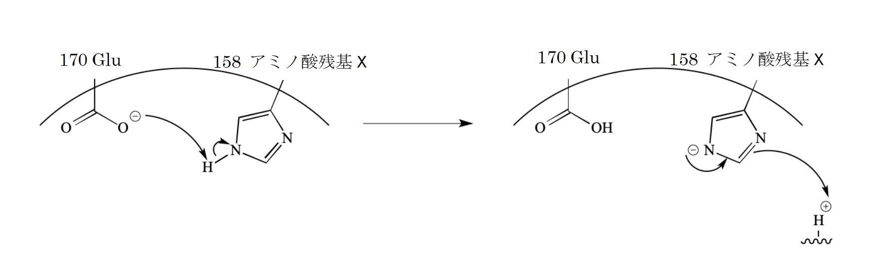 解説画像